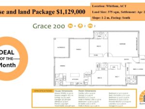 Shillam Chase Whitlam